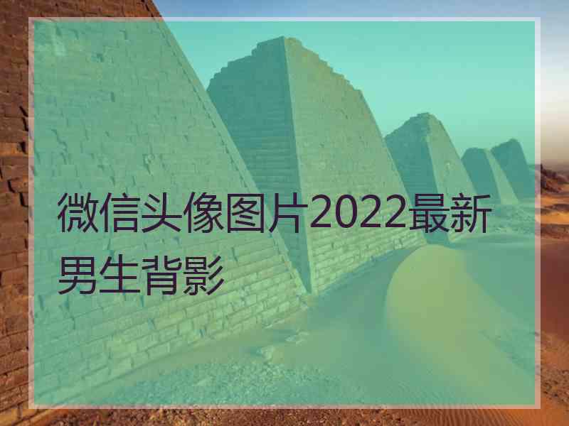 微信头像图片2022最新男生背影