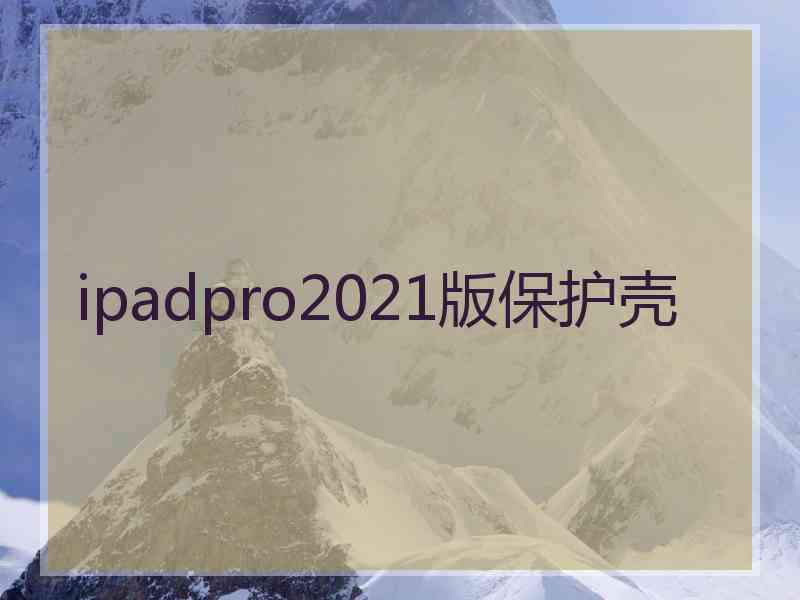 ipadpro2021版保护壳