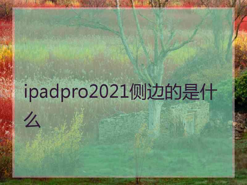 ipadpro2021侧边的是什么