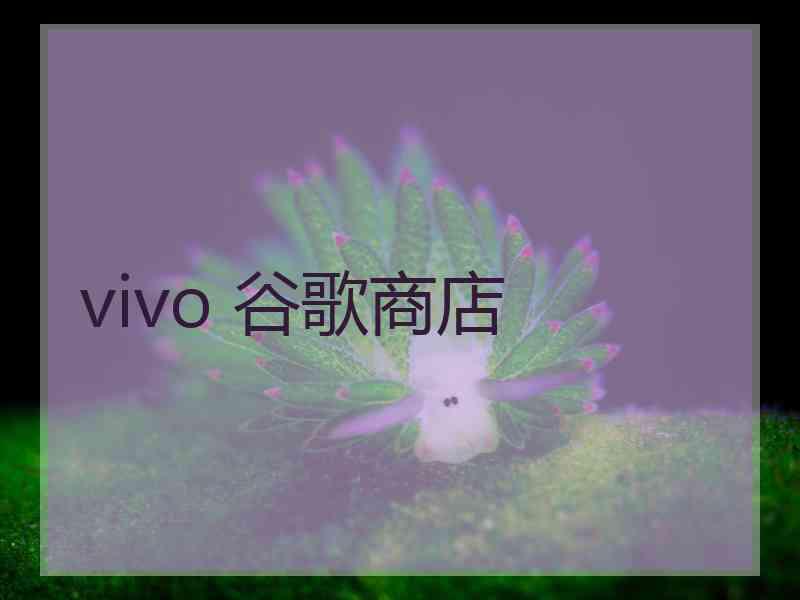 vivo 谷歌商店