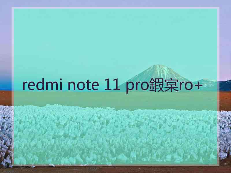 redmi note 11 pro鍜宲ro+