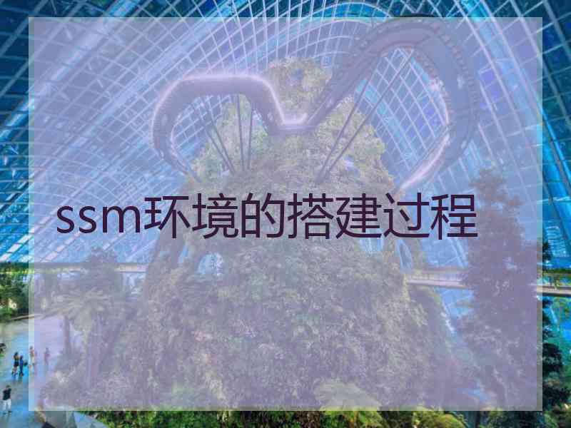 ssm环境的搭建过程