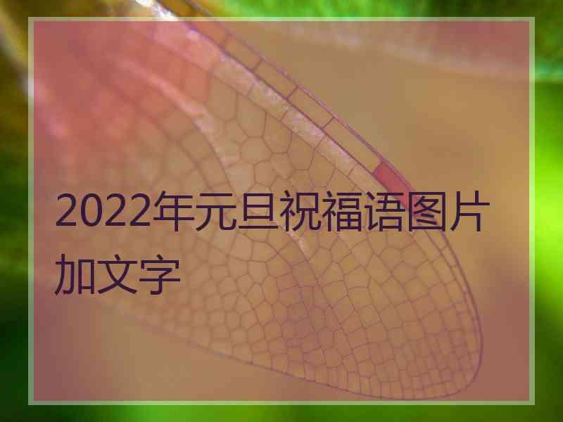 2022年元旦祝福语图片加文字