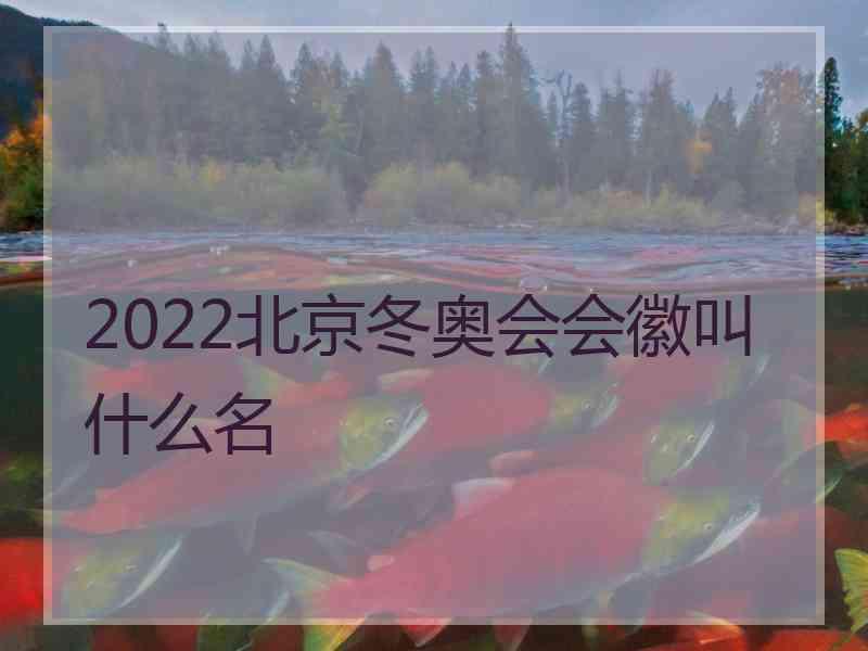 2022北京冬奥会会徽叫什么名