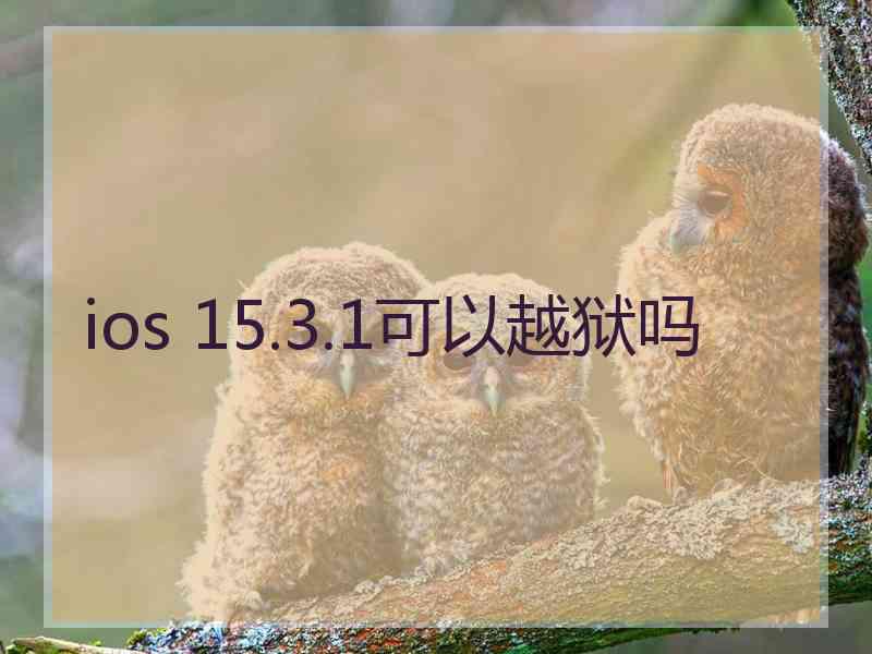 ios 15.3.1可以越狱吗