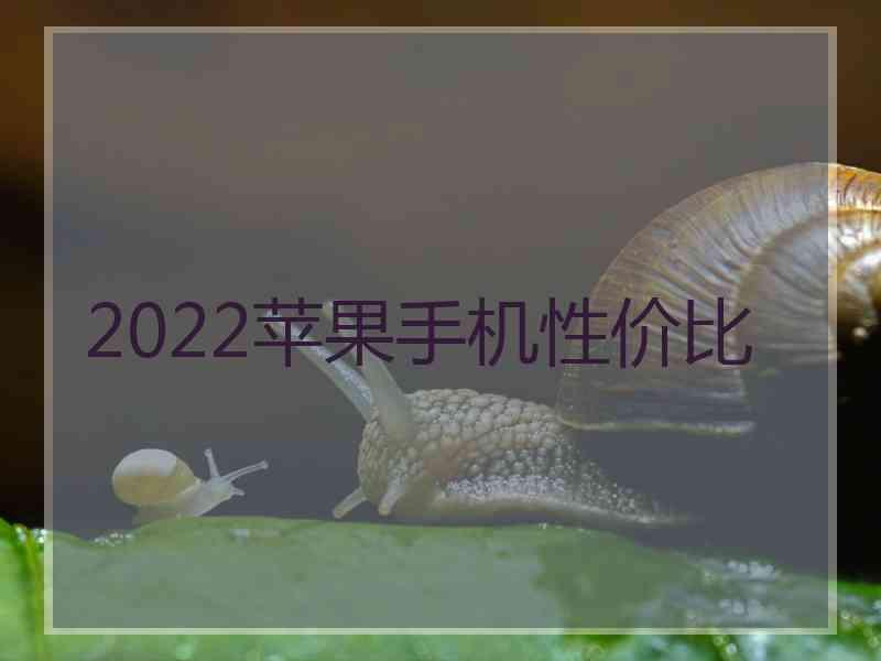 2022苹果手机性价比