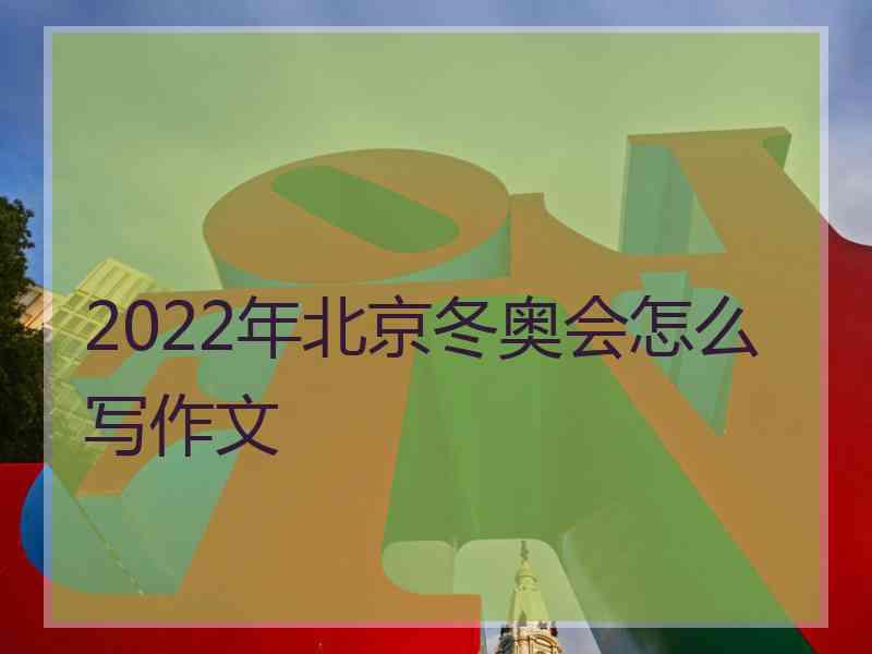 2022年北京冬奥会怎么写作文