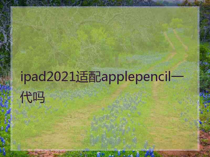 ipad2021适配applepencil一代吗