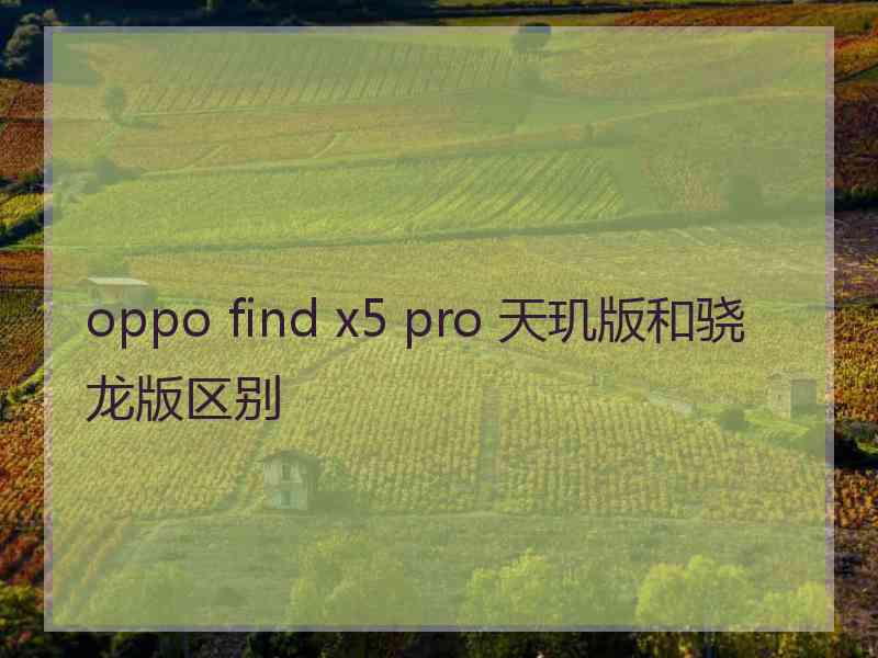 oppo find x5 pro 天玑版和骁龙版区别