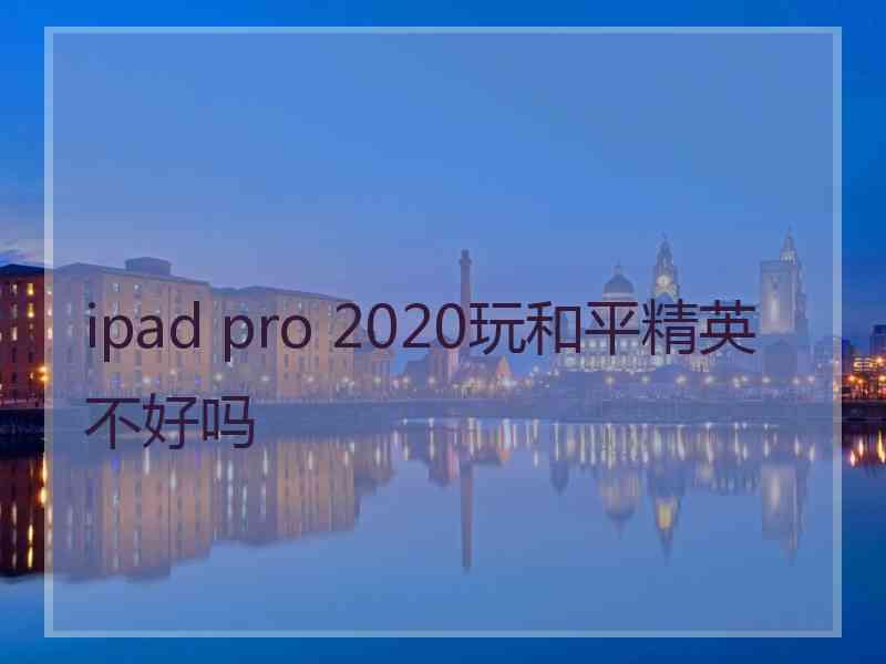 ipad pro 2020玩和平精英不好吗