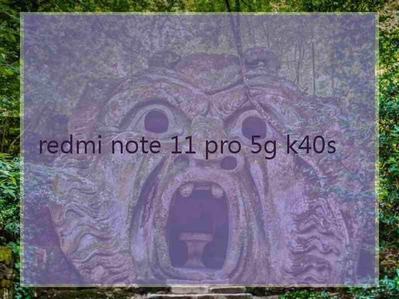 redmi note 11 pro 5g k40s