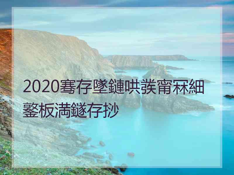 2020骞存墜鏈哄彂甯冧細鐜板満鐩存挱