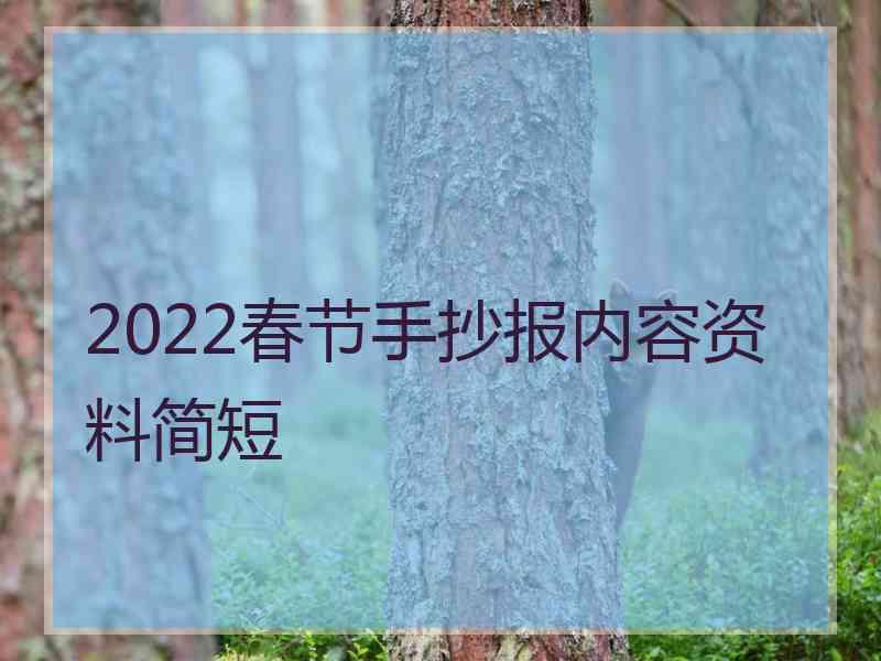 2022春节手抄报内容资料简短