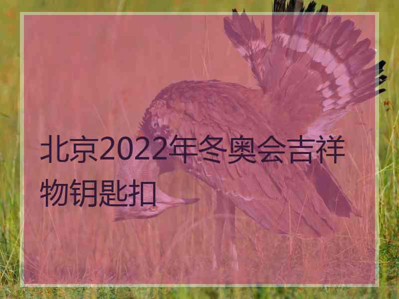 北京2022年冬奥会吉祥物钥匙扣