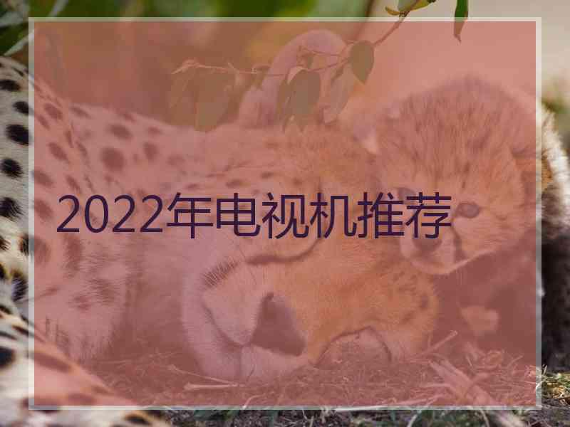 2022年电视机推荐