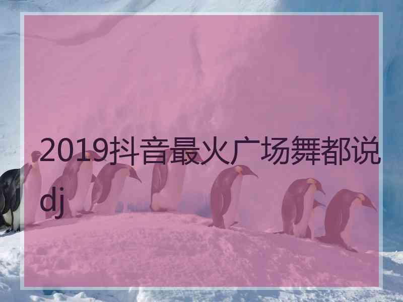 2019抖音最火广场舞都说dj