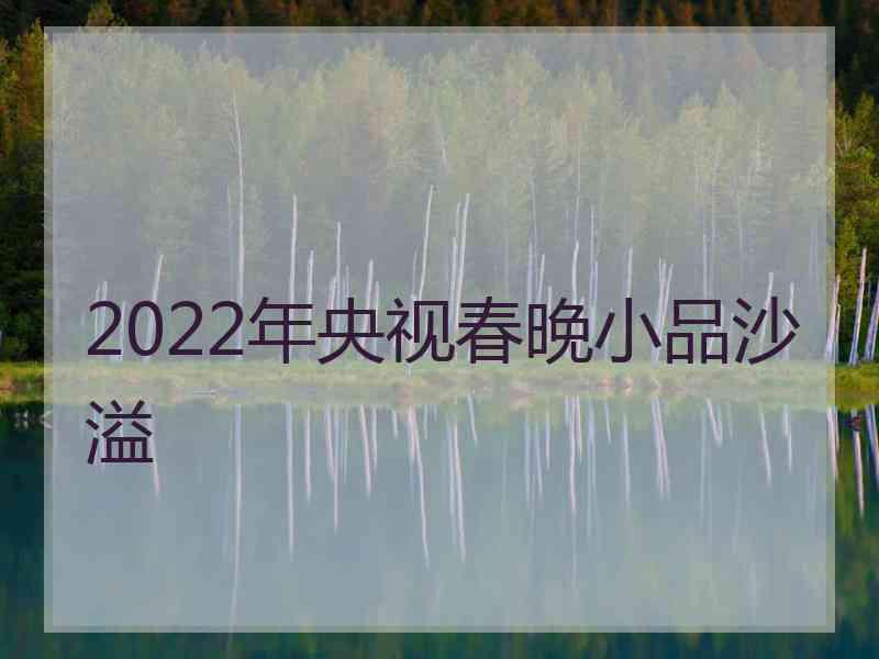 2022年央视春晚小品沙溢