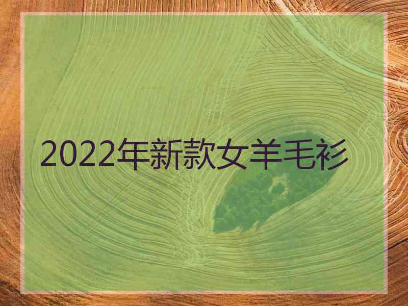 2022年新款女羊毛衫