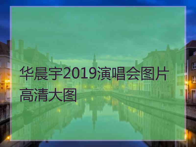 华晨宇2019演唱会图片高清大图