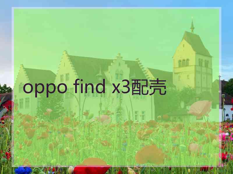 oppo find x3配壳