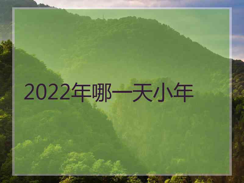 2022年哪一天小年