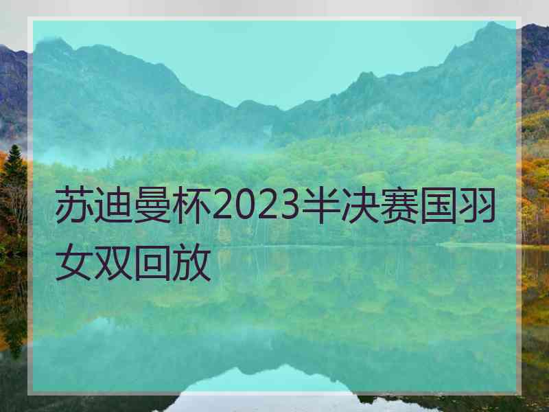 苏迪曼杯2023半决赛国羽女双回放