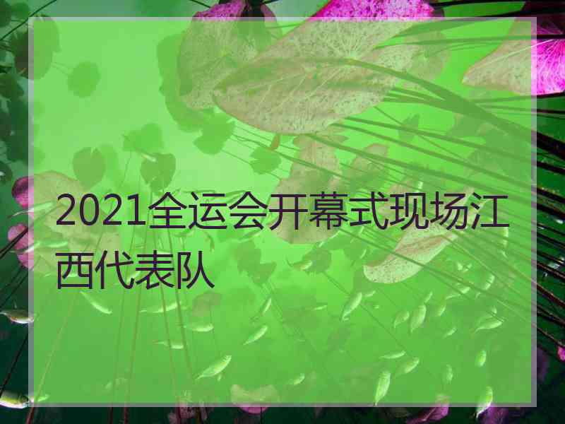 2021全运会开幕式现场江西代表队