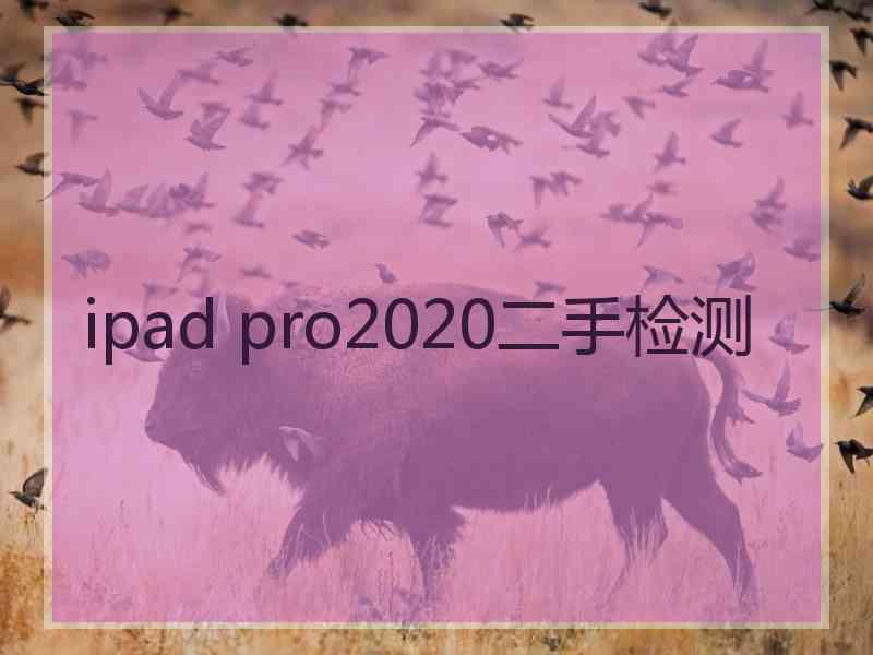 ipad pro2020二手检测