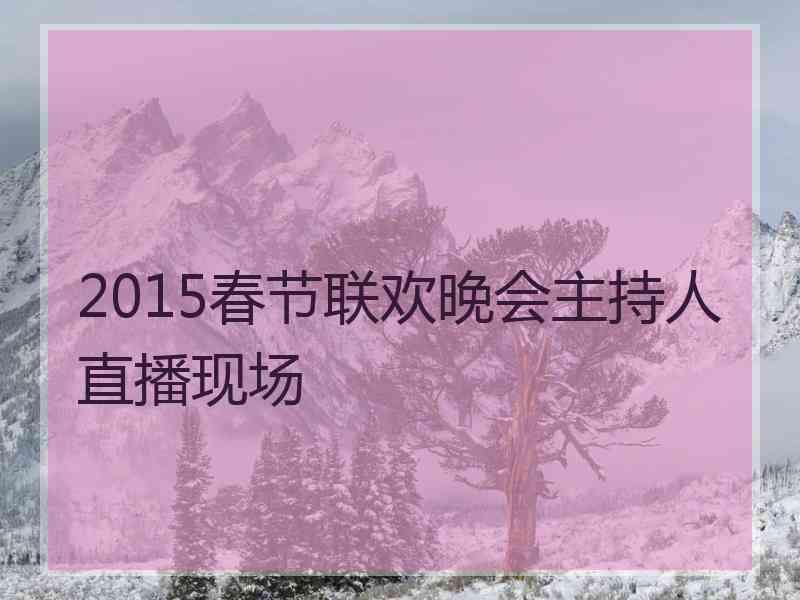 2015春节联欢晚会主持人直播现场