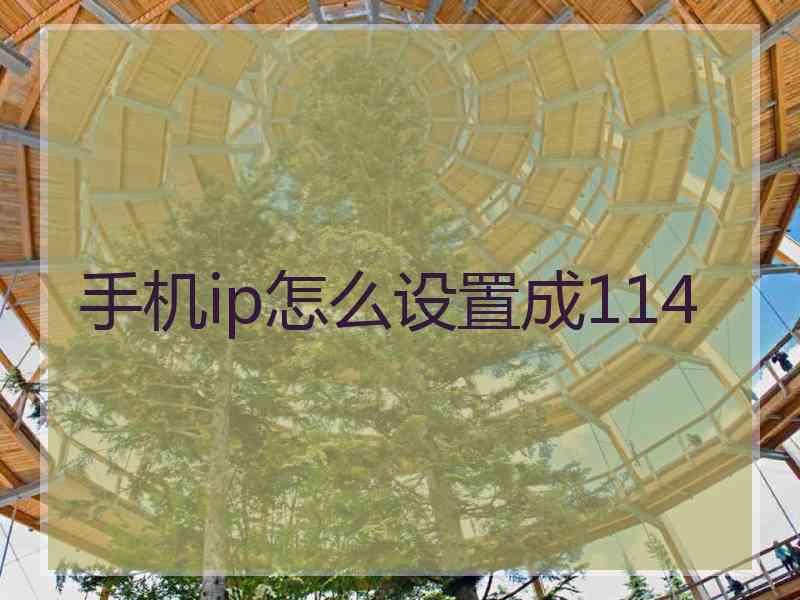 手机ip怎么设置成114