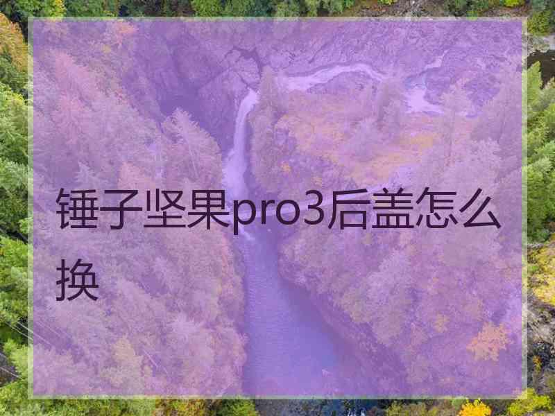 锤子坚果pro3后盖怎么换