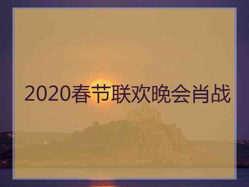 2020春节联欢晚会肖战