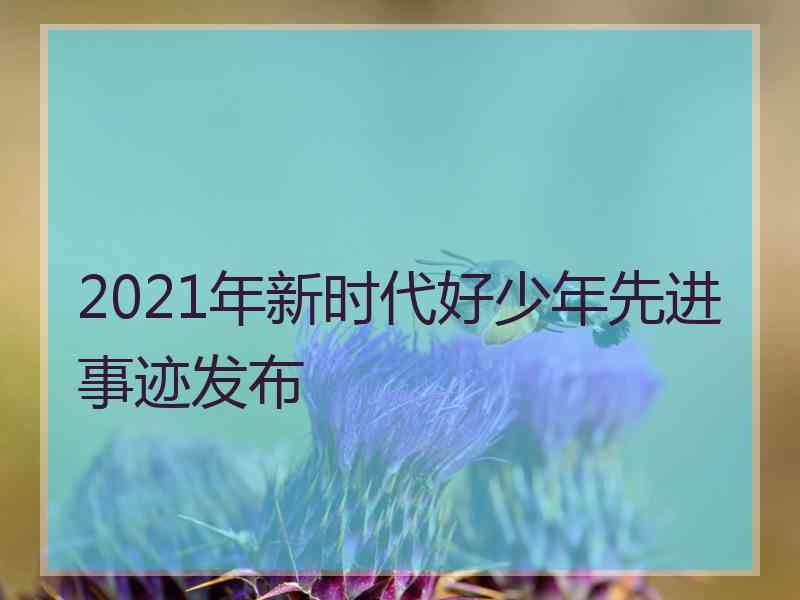 2021年新时代好少年先进事迹发布