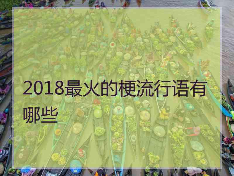 2018最火的梗流行语有哪些