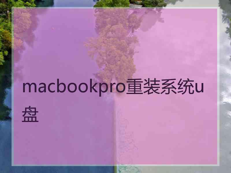 macbookpro重装系统u盘