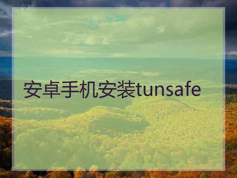 安卓手机安装tunsafe