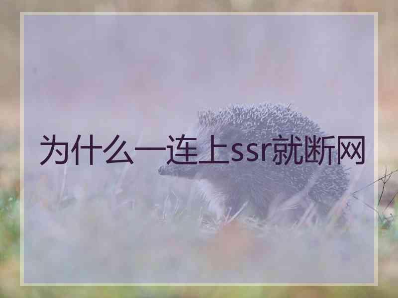 为什么一连上ssr就断网