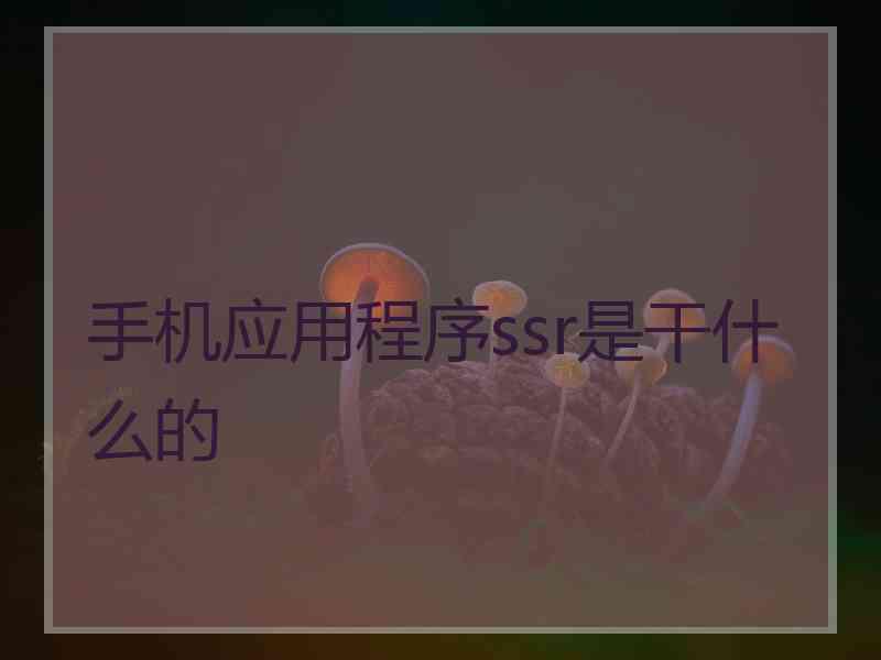 手机应用程序ssr是干什么的