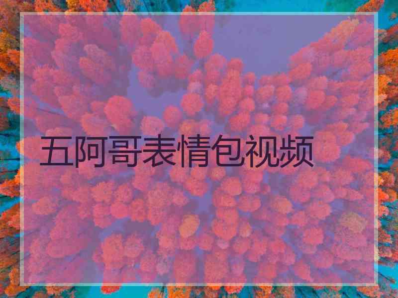 五阿哥表情包视频