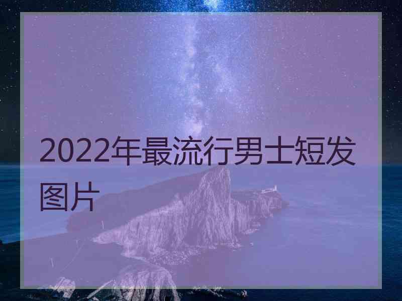 2022年最流行男士短发图片