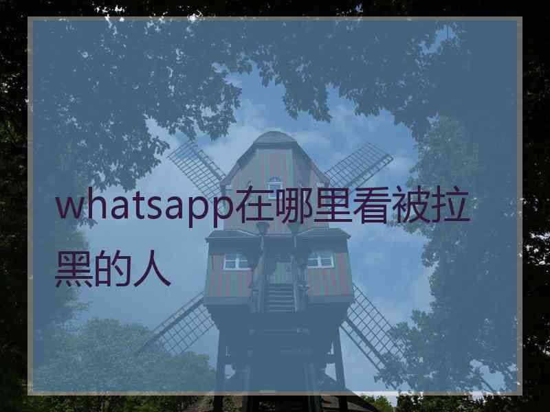 whatsapp在哪里看被拉黑的人