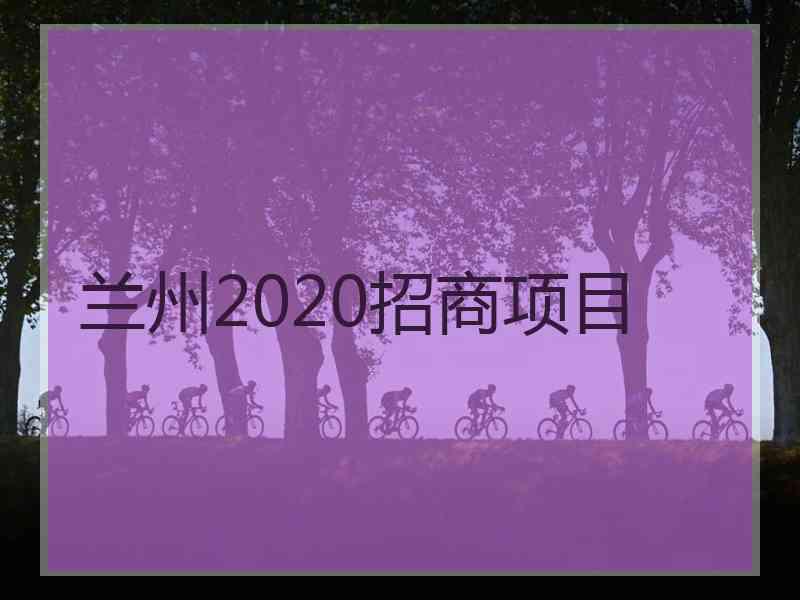 兰州2020招商项目