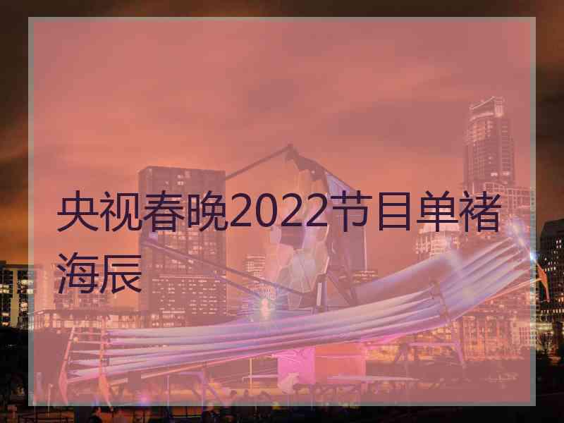 央视春晚2022节目单褚海辰