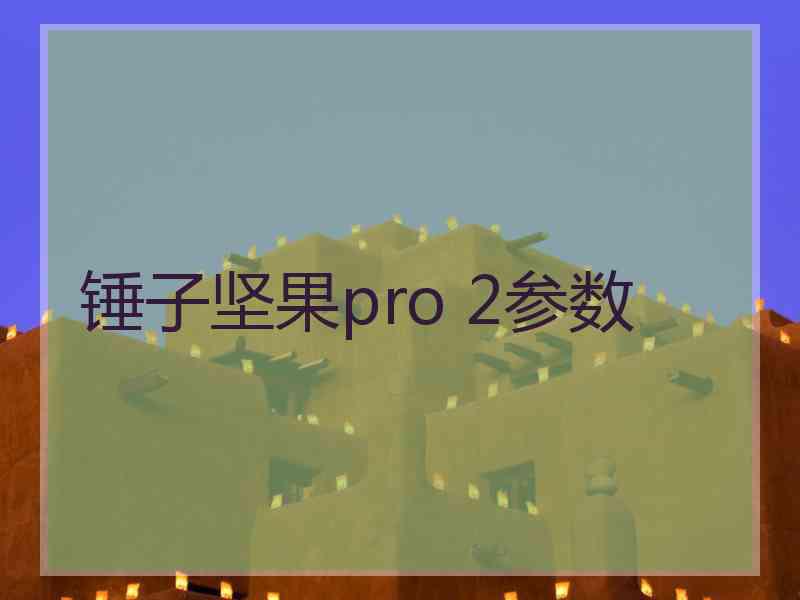 锤子坚果pro 2参数