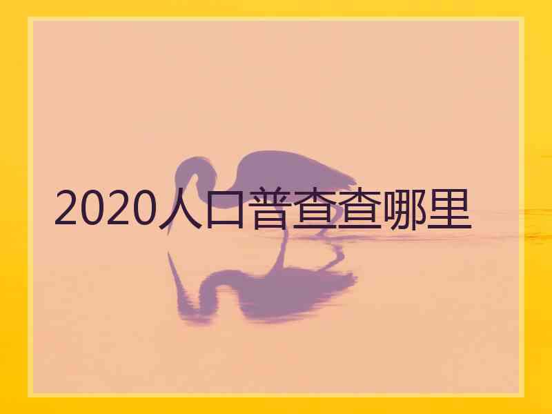 2020人口普查查哪里