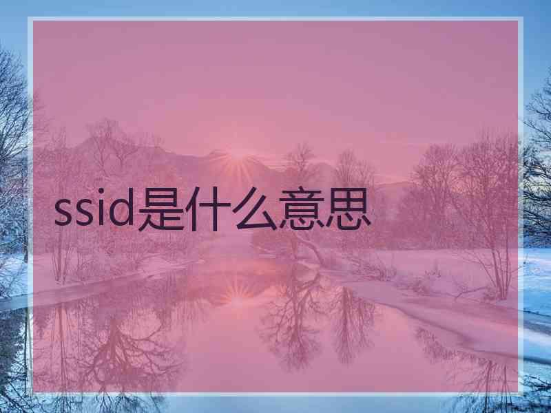 ssid是什么意思