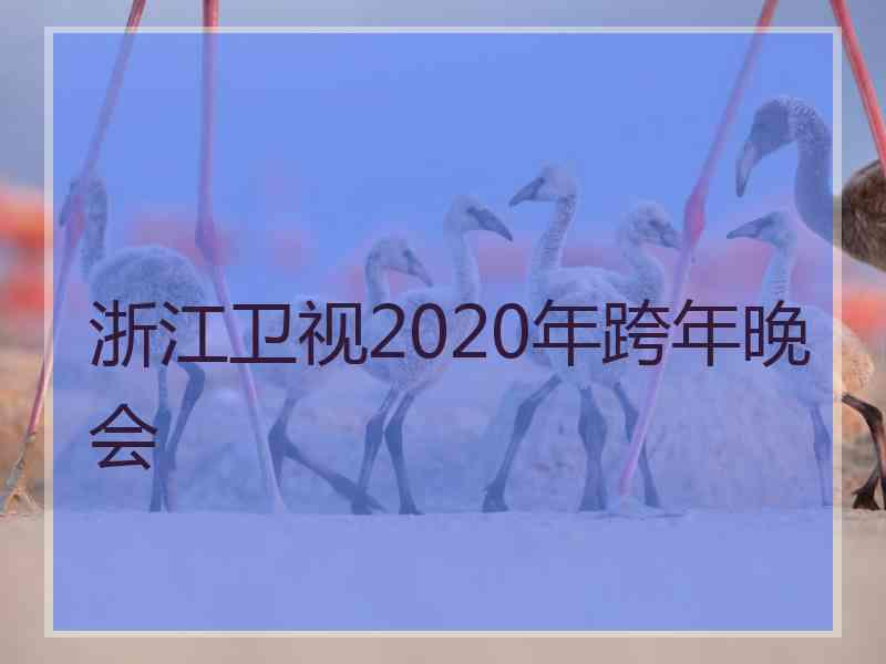 浙江卫视2020年跨年晚会