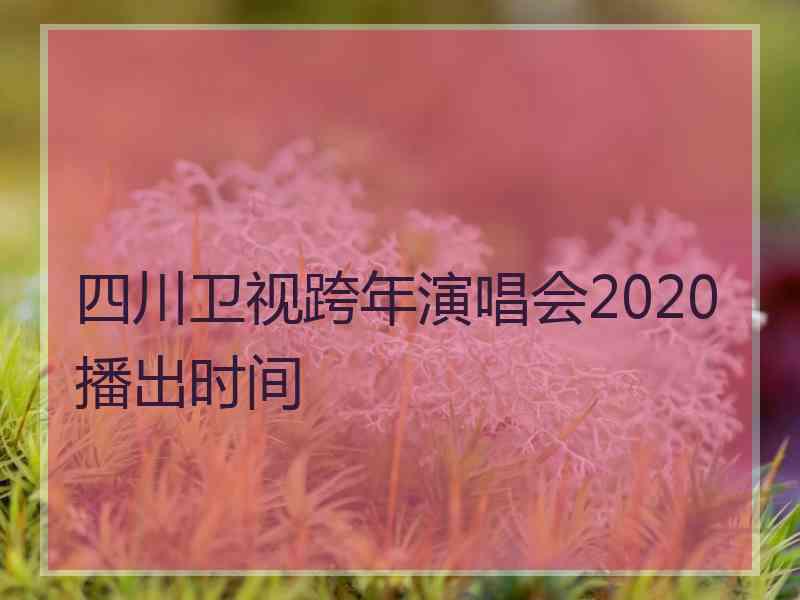 四川卫视跨年演唱会2020播出时间