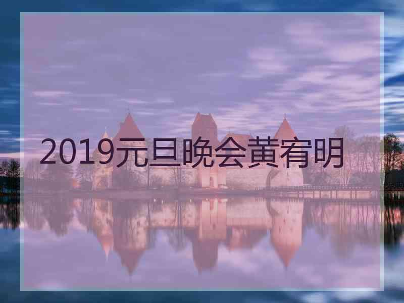 2019元旦晚会黄宥明