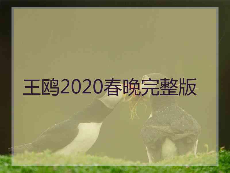 王鸥2020春晚完整版